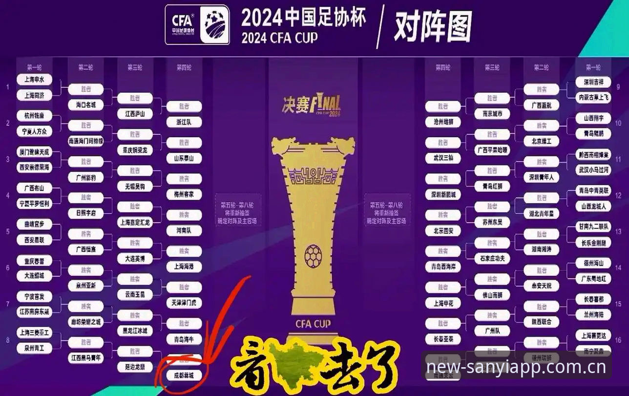 三亿平台身份验证使用指南 足协第三批禁足名单详解——从三亿体育平台看中国足球整顿风暴